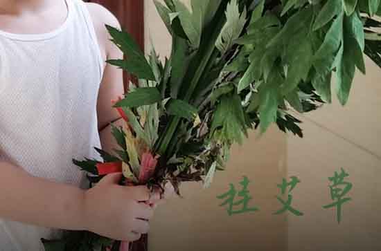 端午节给妹妹的祝福语2023