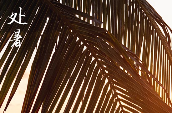 处暑是2024的几月几日 2024年处暑是骨灰下葬的好日子吗