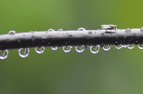 2024谷雨是哪一天 2024年4月19日谷雨造桥可以吗