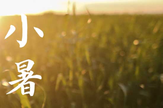 小暑节气的天气特点,小暑的气候变化