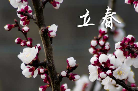 2024立春是双立春吗 2024立春是单立春还是双立春 2024立春是双立春吗 2024立春是单立春还是双立春