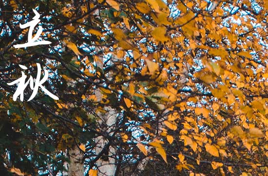 立秋一起贴秋膘吃什么 立秋一起贴秋膘是什么意思