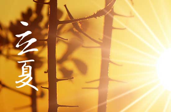 2024年今年立夏是几月几号 这天是什么星座星期几