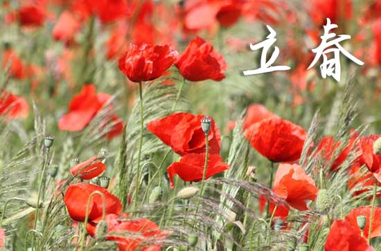 2024年打春是上午还是下午