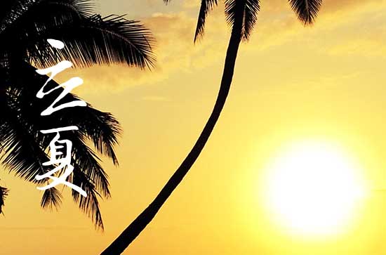 2024年立夏是多少号 2024年立夏相亲合适吗