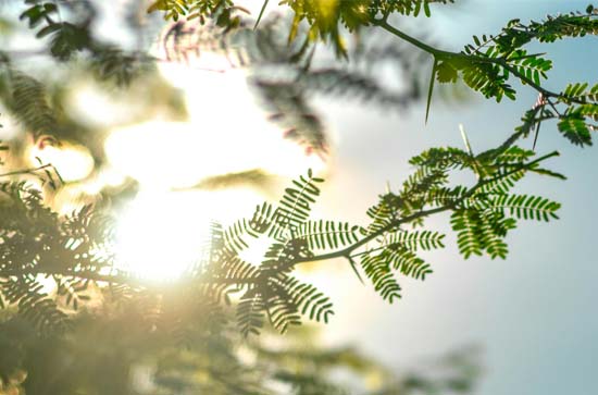 10月21日阳泉不会下雨 今日晴转多云温度11℃~1℃