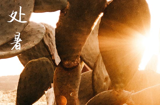 2024年处暑是几月几日 2024年处暑是相亲吉日吗 2024年处暑是几月几日 2024年处暑是相亲吉日吗