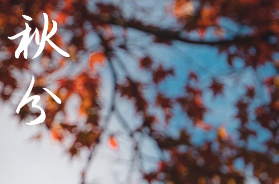 2024年今年秋分是几月几号 2024年9月22日秋分这天宜买鸡吗