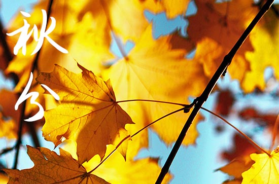 2024年秋分几月几日 2024年秋分厨房移位吉祥吗