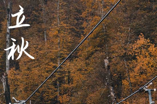 2024年立秋几月几日 今天日子好不好