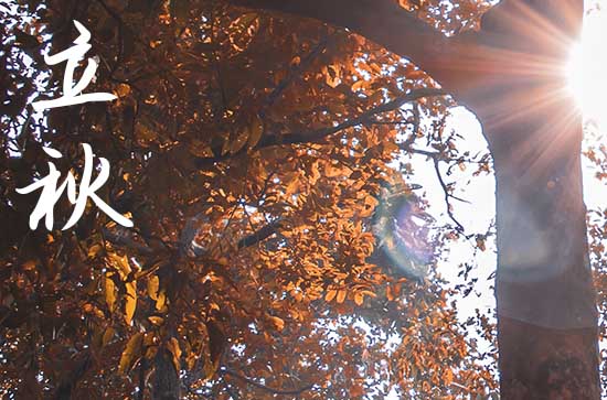 今日立秋几点几分，2023年立秋是哪天