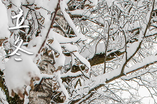 立冬是2023的几月几日 2023年立冬是打灶台吉日吗