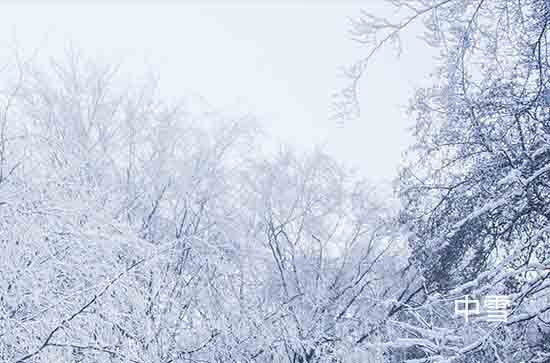 山东12月13日起三天降雪大风降温齐袭 泰安未来三天天气预报