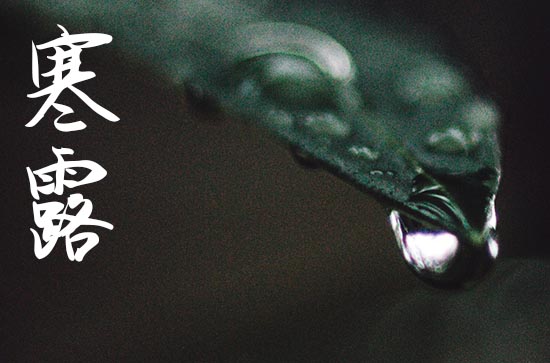 2024年寒露节气是什么时候 具体几点几分几秒