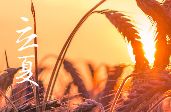 2024年立夏是什么时候 2024立夏这天宜做什么