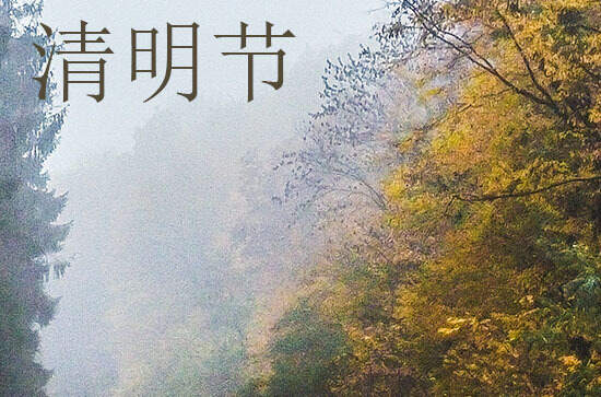 2024年清明节农历时间 2024年清明节种盆栽适合吗