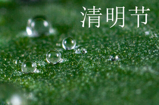 2024年清明节是星期几 2024年清明节搬新屋好不好 2024年清明节是星期几 2024年清明节搬新屋好不好