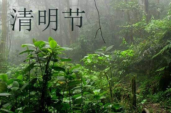 2024清明节是几月几号 2024年清明节修造坟墓是吉日吗 2024清明节是几月几号 2024年清明节修造坟墓是吉日吗