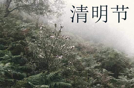 2024年今年清明节是几月几号 2024年清明节适合入殓吗 2024年今年清明节是几月几号 2024年清明节适合入殓吗