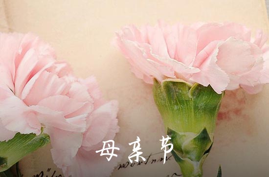 2024年母亲节送什么礼物好 2024年适合母亲节送的礼物