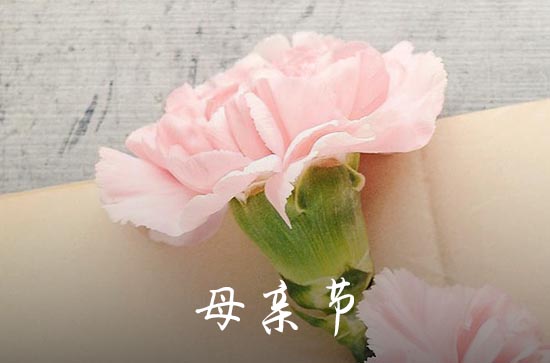 2024母亲节祝福语贺卡  母亲节写给母亲的贺卡