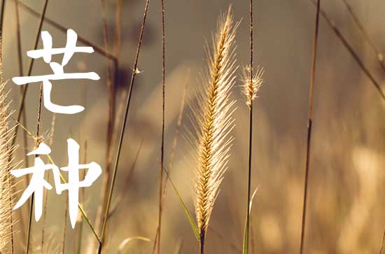 2024年芒种忌讳什么 芒种时节饮食上有什么禁忌吗