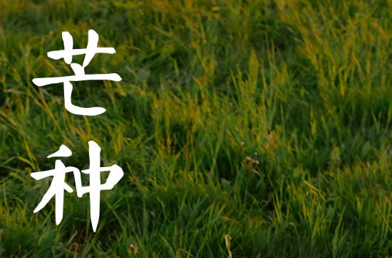 2024年芒种是几点几分几秒  2024年芒种是几月几日