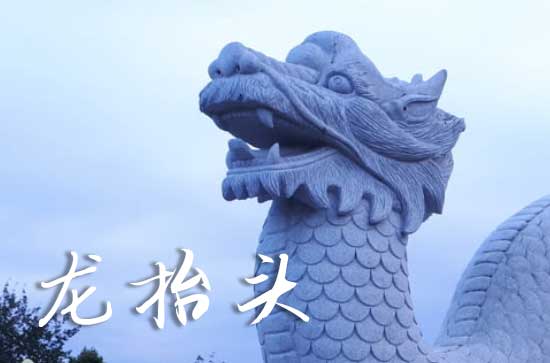 2025年今年龙抬头是几月几号 2025年龙抬头适合养猫吗