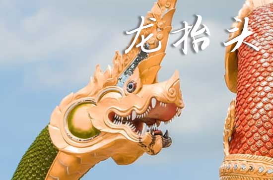 龙抬头2025年是几月几日星期几 2025年3月1日龙抬头是认养吉日吗