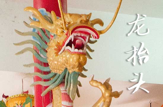 2025年龙抬头农历时间 2025年3月1日龙抬头这天适合挖井吗