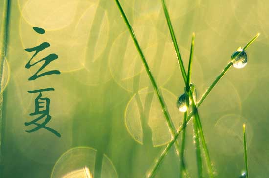 夏天从什么时候开始算 立夏节气诗词