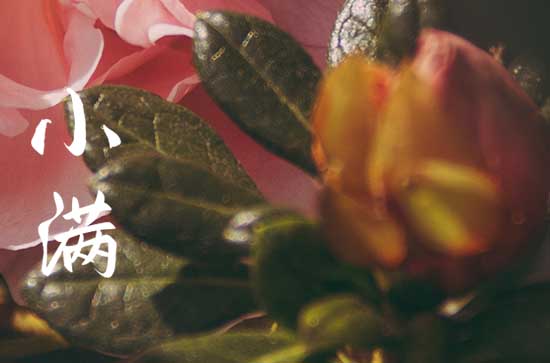 小满节气的含义是什么意思 小满节气应该怎么养生