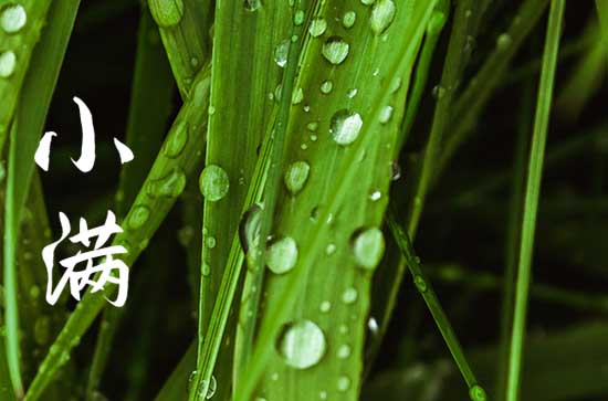 小满节气在什么季节 小满节气的诗句