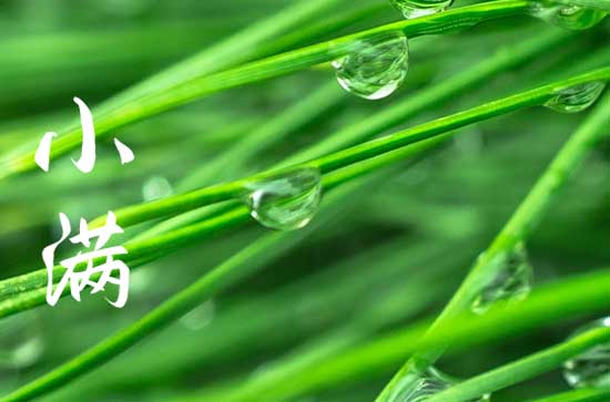 小满节气要吃什么传统美食  小满节气的饮食健康小贴士