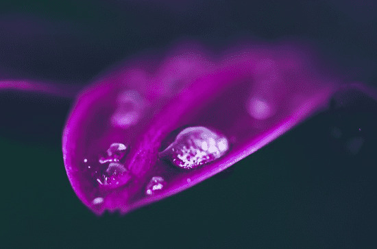 上海梅雨季节是什么时间  梅雨期防范事项