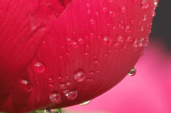 南方梅雨季节是什么时候  南方梅雨季节的气候特点