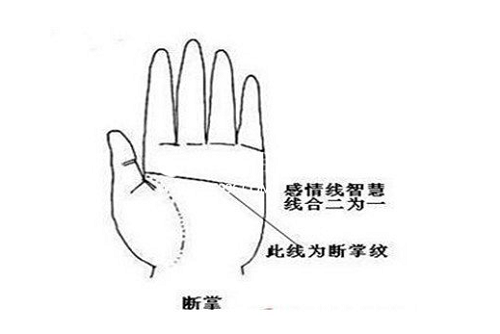 断掌纹的女人怎么看手相 断掌纹的女人子女缘好薄吗