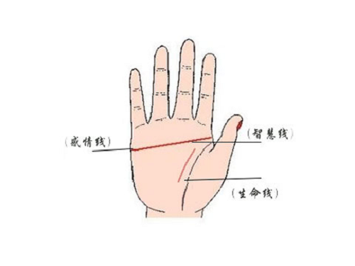 四种假断掌图片 四种假断掌图片图解