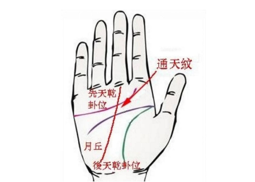 左手有通天纹的女人罕见 有通天纹的女人罕见左手图片