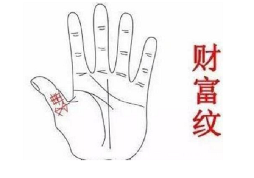 非常难得的十大吉祥手相图片 非常难得的十大吉祥手相断掌纹