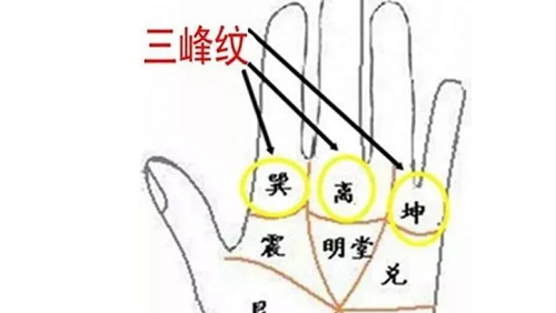 富贵手相的6种奇纹 富贵手相的6种奇纹女