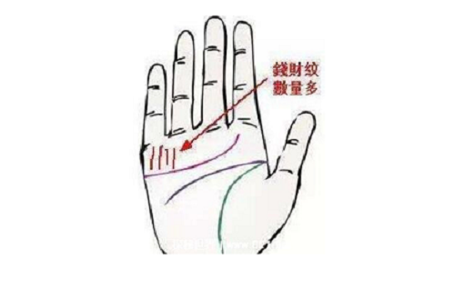 非常难得的十大吉祥手相图片 非常难得的十大吉祥手相断掌纹
