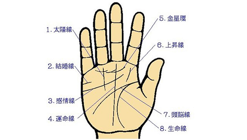 女人右手手相图解大全感情线 女人右手手相图解大全财运线