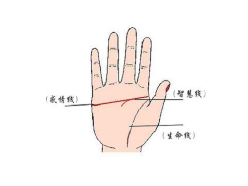 四种假断掌图片 四种假断掌图片图解
