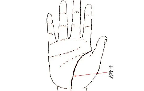 生命线短寿命就短吗 女人生命线短寿命就短吗