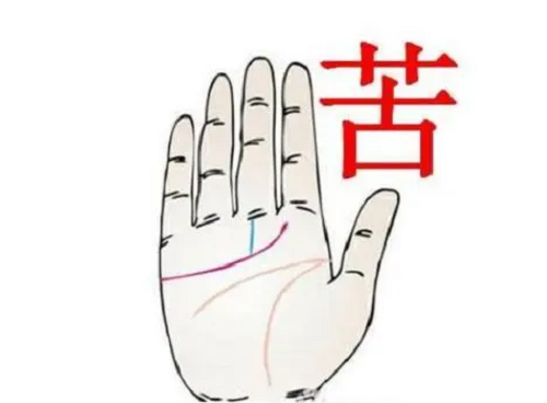 女人3大苦命手相心比天高 女人3大苦命手相震宫下凹