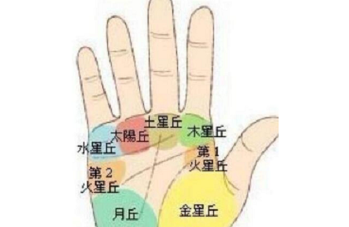 非常难得的十大吉祥手相图片 非常难得的十大吉祥手相断掌纹