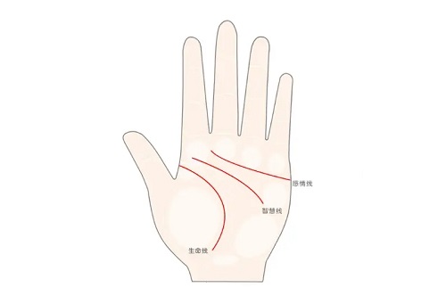 川字掌的男人是什么命 双手都是川字掌的男人命运
