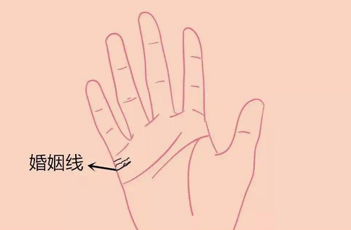 女人手上的婚姻线是哪一条 女人的手掌婚姻线是哪一条