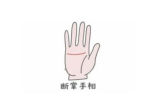 女人断掌右手是什么样的命运图解 女人断掌右手是什么样的命运图片
